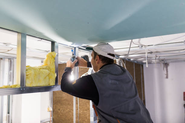 Best Geographic-Specific Insulation Services in Dormont, PA