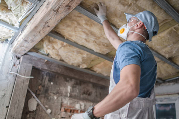 Best Fiberglass Insulation in Dormont, PA
